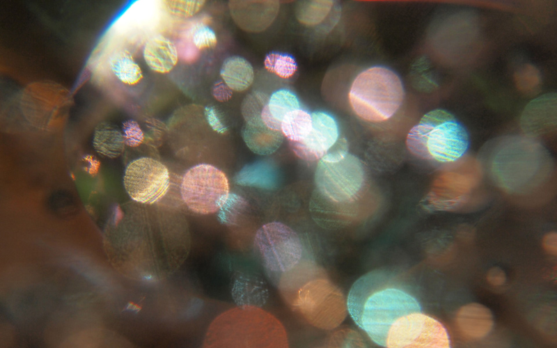 Illustration for article titled Shooting Challenge: Bokeh, Gallery 2